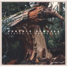 Almeida, Goncalo - State of Restraint