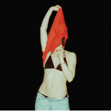 Shoemaker, Ana - Someone Should Stop Her