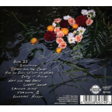 Amy Helm - What the Flood Leaves Behind