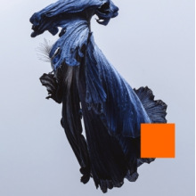 Talos - Far Out Dust