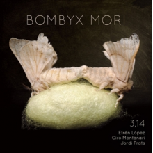 3.14 - Bombyx Mori