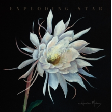 Maloney, Heather - Exploding Star