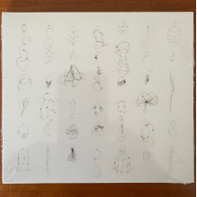 Reich, Maria - Interdependenzen