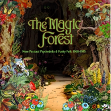 V/A - The Magic Forest (More Pastoral Psychedlia & Funky Folk 1968-1975)