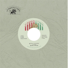 Bionic Singer - 7-Botha Warning