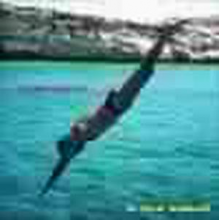 Milesi, Piero - Within Himself