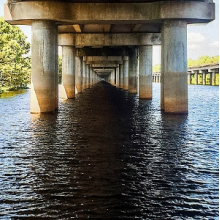 Weeks Island - Droste