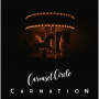 Carnation - Carousel Circle