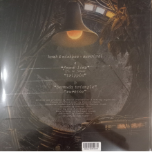 Kraek & Nickbee - Survival