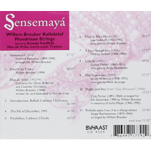 V/A - Sensemaya