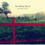 White Birch - Weight of Spring