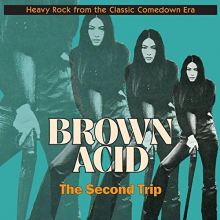 V/A - Brown Acid: the Second Trip