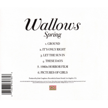 Wallows - Spring