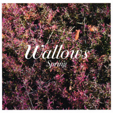 Wallows - Spring