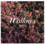Wallows - Spring