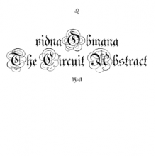 Vidna Obmana - Circuit Abstract