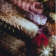 Fin Del Mundo - Hicimos Crecer Un Bosque