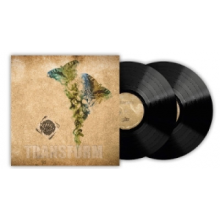 Robby and the Secret - Transform