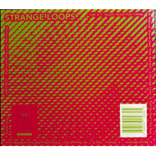 Ak/Dk - Strange Loops