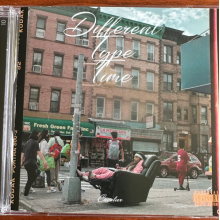 Cavalier - Different Type Time