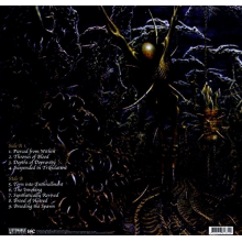 Suffocation - Pierced From Within