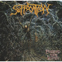 Suffocation - Pierced From Within
