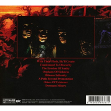 Gorguts - Erosion of Sanity
