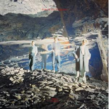 Echo and the Bunnymen - Silver