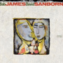 James, Bob & David Sanborn - Double Vision