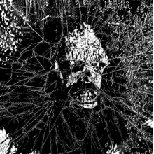 Concrete Caveman - 7-War Under Glass