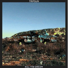 Tripsun - Kill the Dream