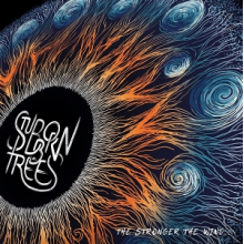 Stubborn Trees - The Stronger the Wind...