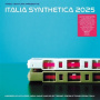 V/A - Italia Synthetica 2024