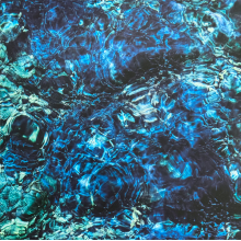 Aoba, Ichiko - Luminescent Creatures