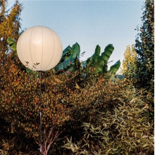 Selman, William - The Light Moves Between