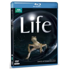 Documentary - Life (Documentary)