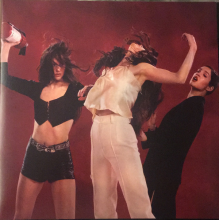 Davidson, Marie - Renegade Breakdown