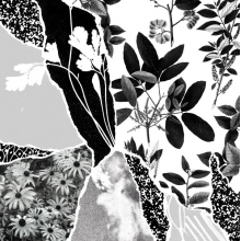 Ponctuation - Mon Herbier Du Monde Entier