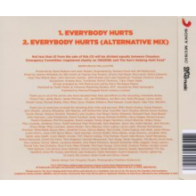 V/A - Everybody Hurts