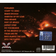 Sole Syndicate - Into the Flames