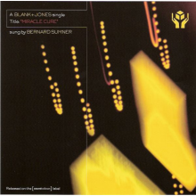 Blank & Jones - Miracle Cure -7tr-