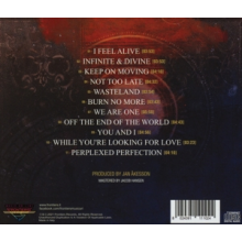 Infinite & Divine - Silver Lining