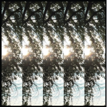 Pontiak - Dialectic of Ignorence
