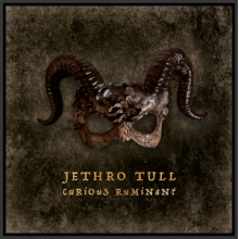 Jethro Tull - Curious Ruminant