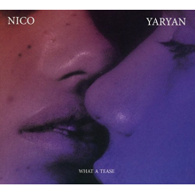 Yaryan, Nico - What a Tease
