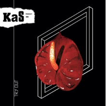 Kas Product - Try Out