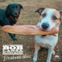 Bob Lanza Blues Band - Breadman's Blues