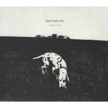 Courty, Ronan - Synesthesia