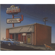 Seldom Scene - Remains To Be Scene