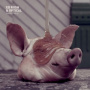 Ed Rush & Optical - Fabriclive 82: Ed Rush & Optical
